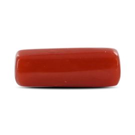 Red Coral (Moonga) - 5.26 Carat 