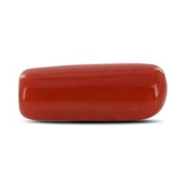 Red Coral (Moonga) - 5.24 Carat 