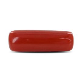 Red Coral (Moonga) - 4.73 Carat 