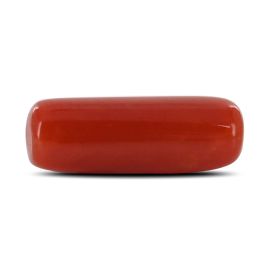 Red Coral (Moonga) - 4.71 Carat 