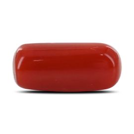 Red Coral (Moonga) - 4.63 Carat 