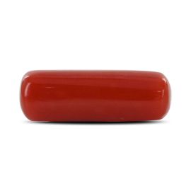 Red Coral (Moonga) - 5.32 Carat 