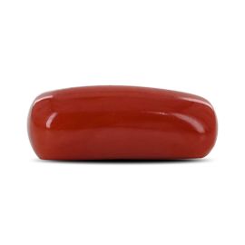 Red Coral (Moonga) - 5.47 Carat 