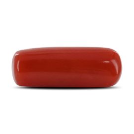 Red Coral (Moonga) - 5.39 Carat 