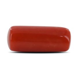 Red Coral (Moonga) - 4.93 Carat 