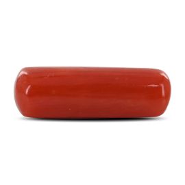 Red Coral (Moonga) - 4.59 Carat 