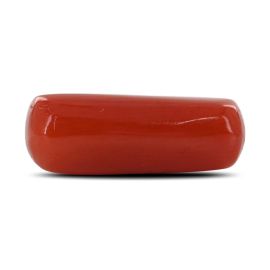 Red Coral (Moonga) - 5.76 Carat 