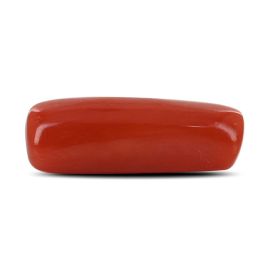 Red Coral (Moonga) - 5.24 Carat 