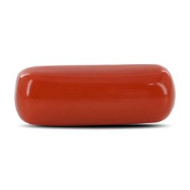 Red Coral (Moonga) - 5.76 Carat 