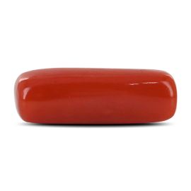 Red Coral (Moonga) - 4.93 Carat 