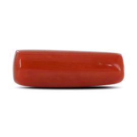 Red Coral (Moonga) - 4.9 Carat 