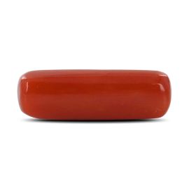 Red Coral (Moonga) - 5.82 Carat 