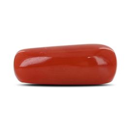 Red Coral (Moonga) - 5.28 Carat 