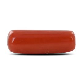 Red Coral (Moonga) - 5.24 Carat 