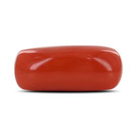 Red Coral (Moonga) - 4.69 Carat 