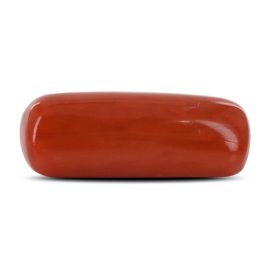 Red Coral (Moonga) - 5.37 Carat 