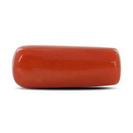 Red Coral (Moonga) - 5.27 Carat 