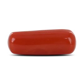 Red Coral (Moonga) - 5.4 Carat 