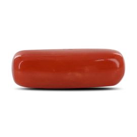 Red Coral (Moonga) - 4.74 Carat 