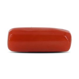 Red Coral (Moonga) - 4.76 Carat 