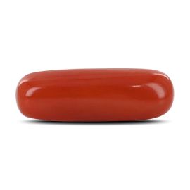 Red Coral (Moonga) - 6.33 Carat 