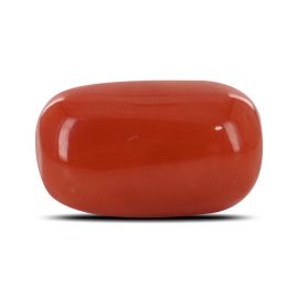 Red Coral (Moonga) - 6.64 Carat 