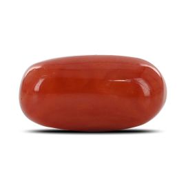 Red Coral (Moonga) - 6.78 Carat 