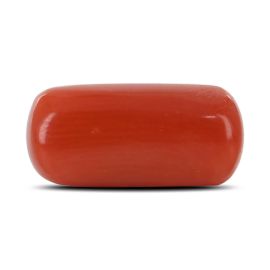 Red Coral (Moonga) - 5.42 Carat 