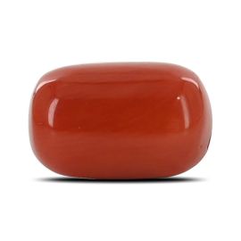 Red Coral (Moonga) - 6.13 Carat 