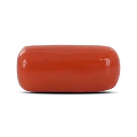 Red Coral (Moonga) - 5.5 Carat 