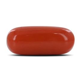 Red Coral (Moonga) - 5.48 Carat 