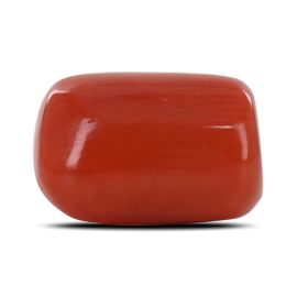 Red Coral (Moonga) - 6.11 Carat 