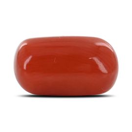 Red Coral (Moonga) - 4.57 Carat 