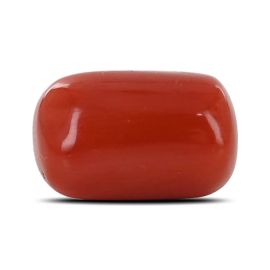 Red Coral (Moonga) - 4.94 Carat 