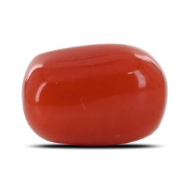 Red Coral (Moonga) - 5.22 Carat 