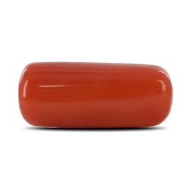 Red Coral (Moonga) - 6.91 Carat 