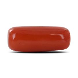 Red Coral (Moonga) - 7.66 Carat 