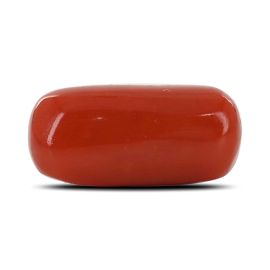 Red Coral (Moonga) - 6.99 Carat 