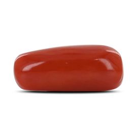 Red Coral (Moonga) - 7.97 Carat 