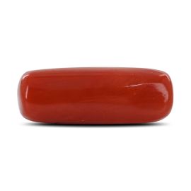 Red Coral (Moonga) - 6.61 Carat 