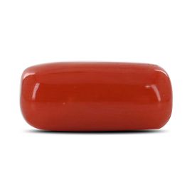 Red Coral (Moonga) - 6.28 Carat 