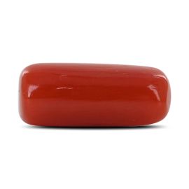 Red Coral (Moonga) - 3.8 Carat 