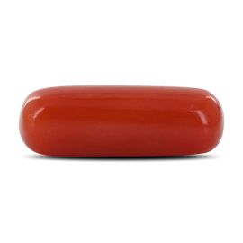 Red Coral (Moonga) - 4.18 Carat 