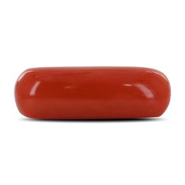 Red Coral (Moonga) - 3.68 Carat 