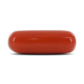 Red Coral (Moonga) - 4.23 Carat 