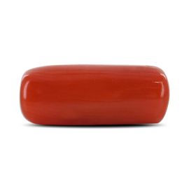 Red Coral (Moonga) - 4.41 Carat 