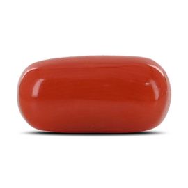 Red Coral (Moonga) - 4.28 Carat 