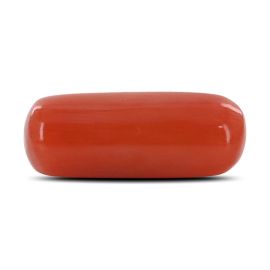 Red Coral (Moonga) - 4.05 Carat 