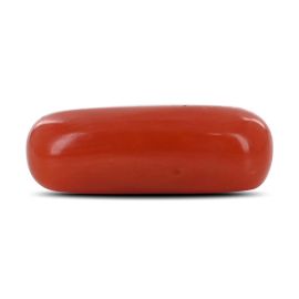 Red Coral (Moonga) - 4.02 Carat 