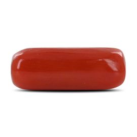 Red Coral (Moonga) - 4.32 Carat 